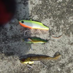 サバゲーもルアー次第ですね。